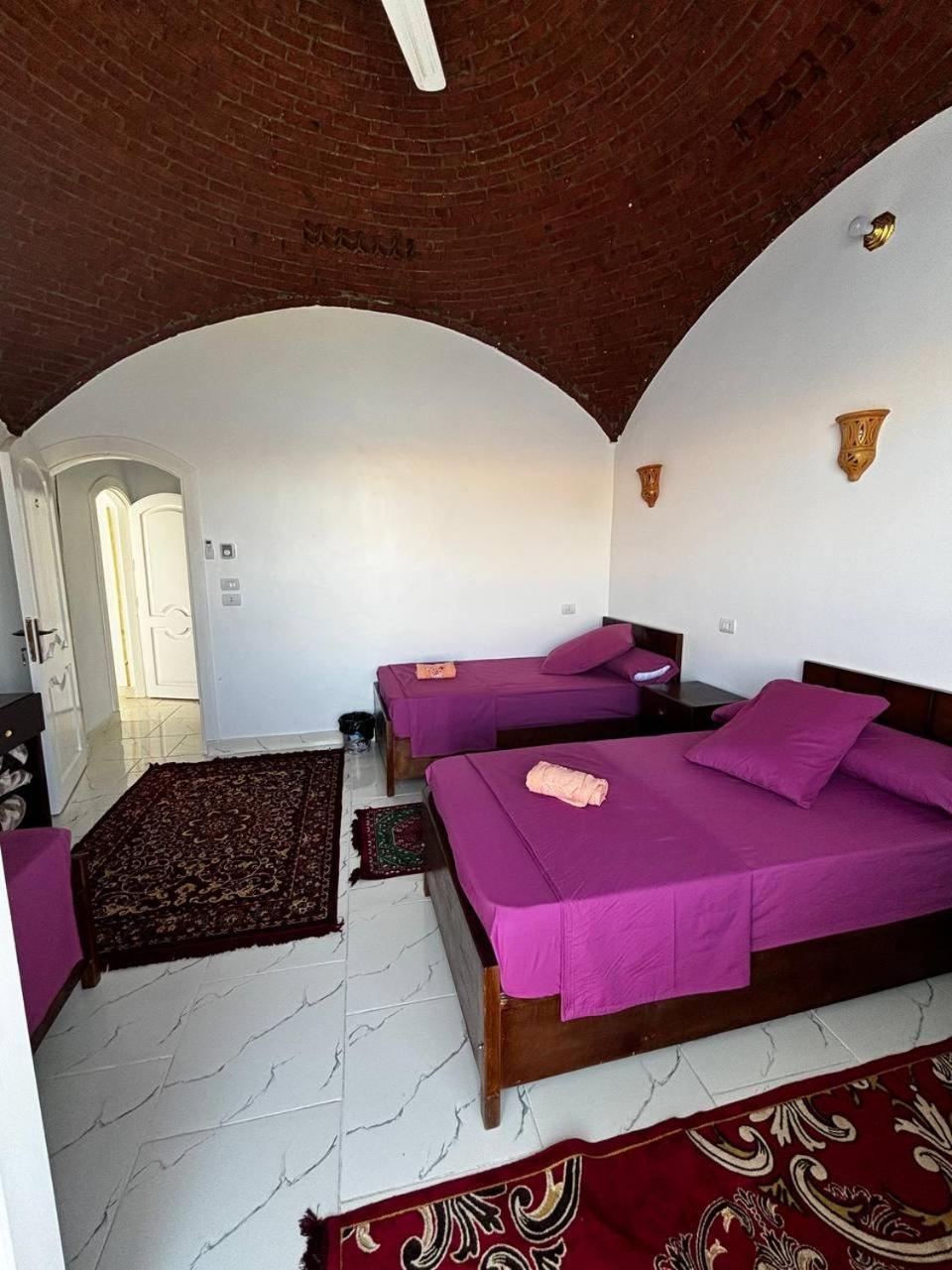 Nile View Guest House Асуан Екстериор снимка